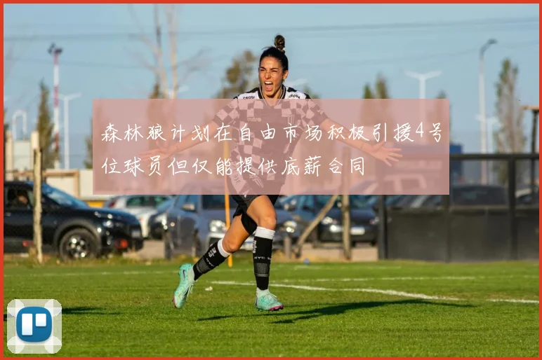 森林狼计划在自由市场积极引援4号位球员但仅能提供底薪合同